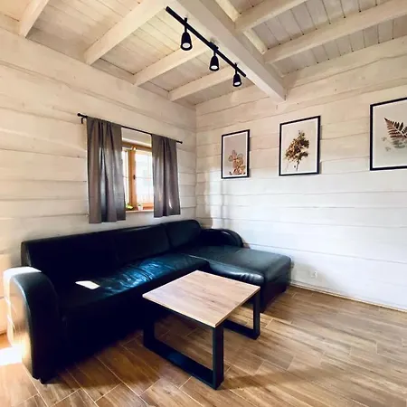 Tatarak Na Mazurach Nad Jeziorem Walpusz - Nr 1