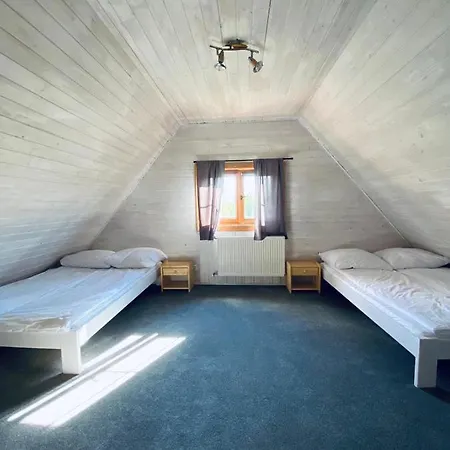 Tatarak Na Mazurach Nad Jeziorem Walpusz - Nr 1